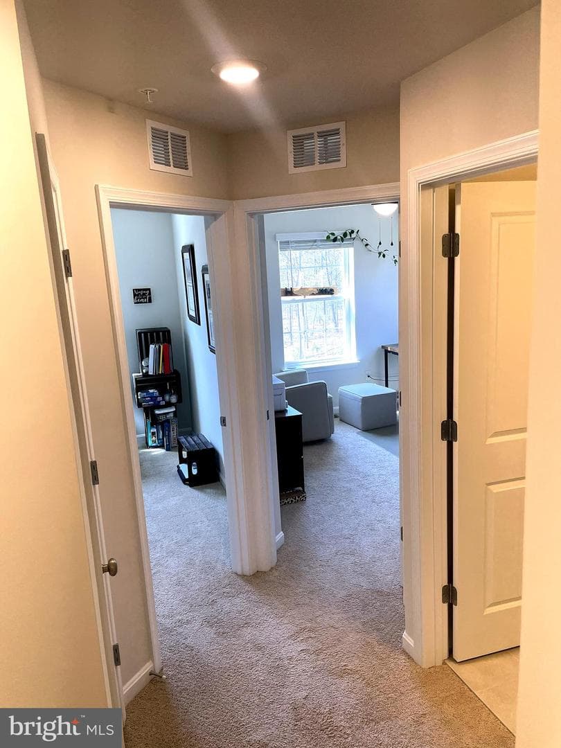 6510 Spoonbill Way photo 45