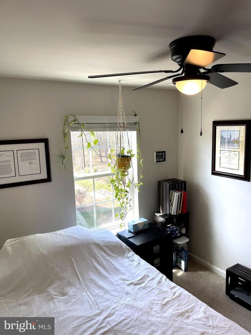 6510 Spoonbill Way photo 49