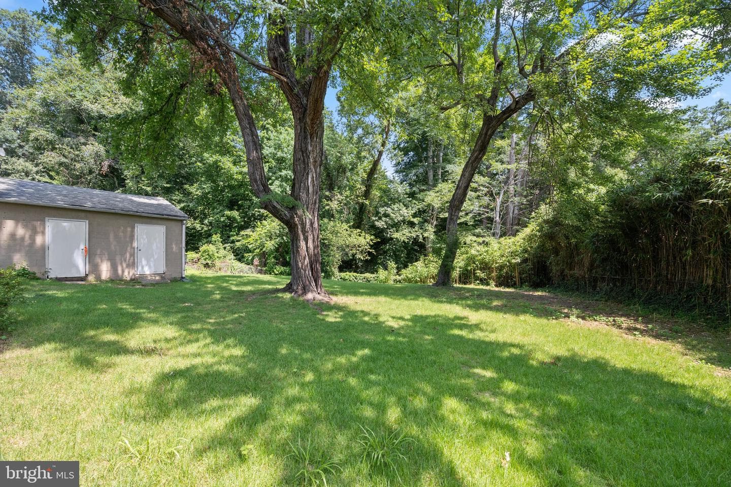 8215 16th Avenue photo 4