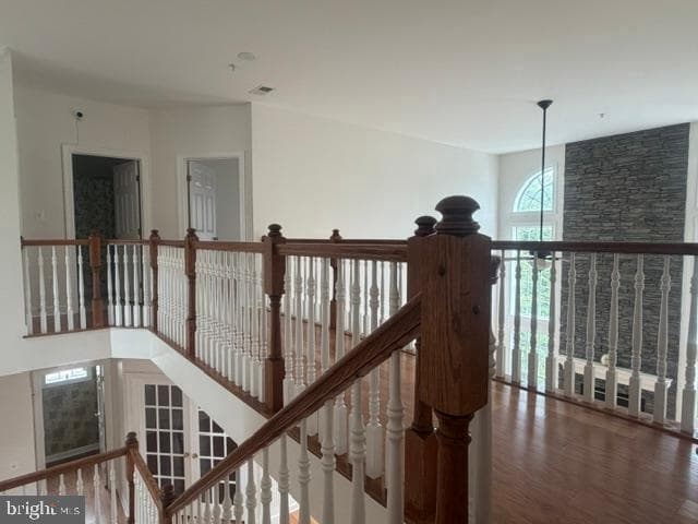 14505 Edenmore Court photo 45