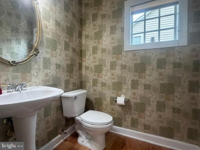 14505 Edenmore Court photo 49