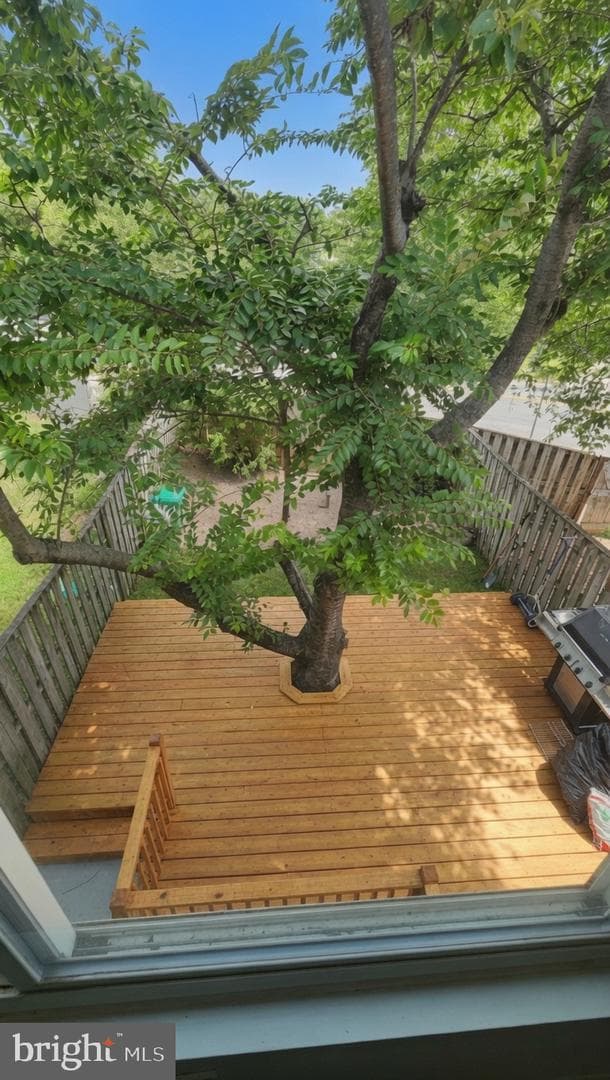 7017 Cipriano Woods Court photo 28