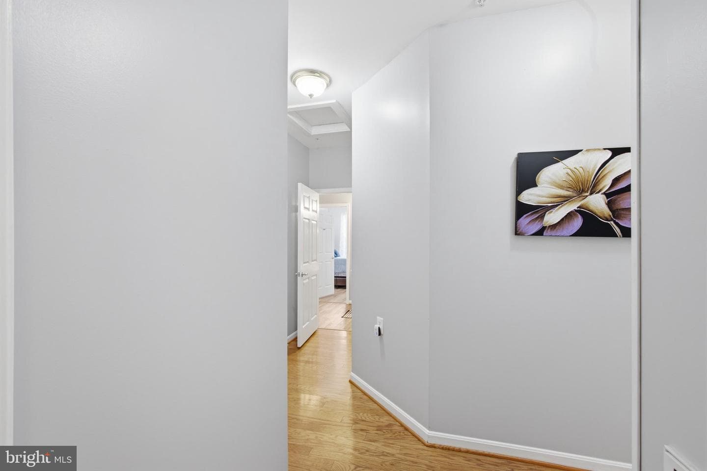 1 Rosebud Court photo 12