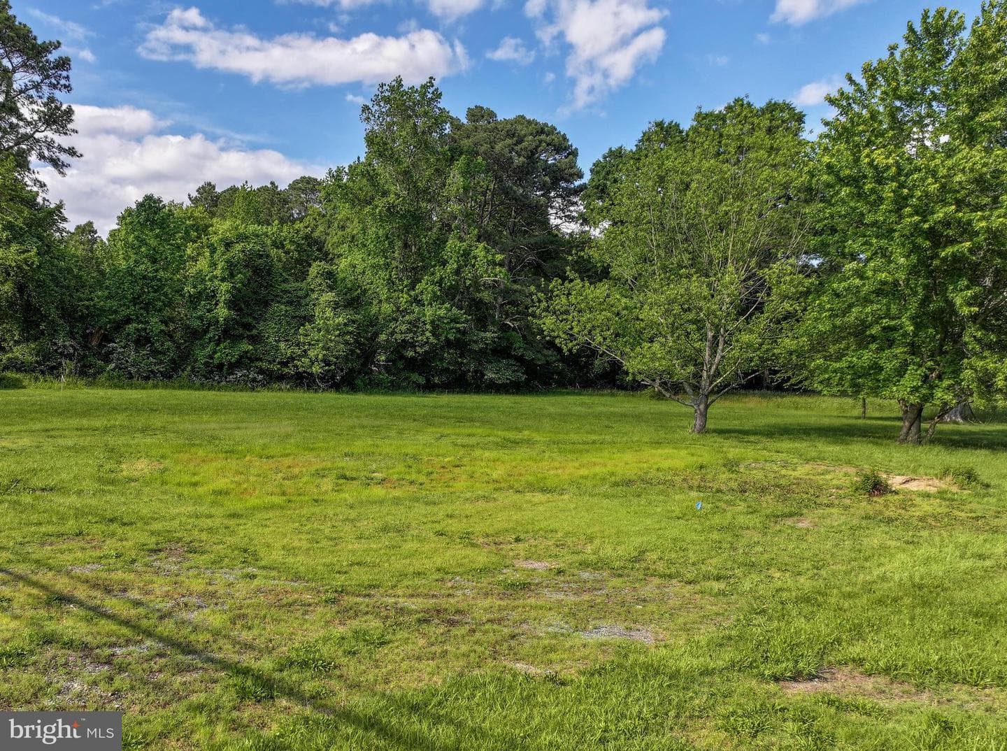 Grasonville Cemetery Road #lot 1 photo 24