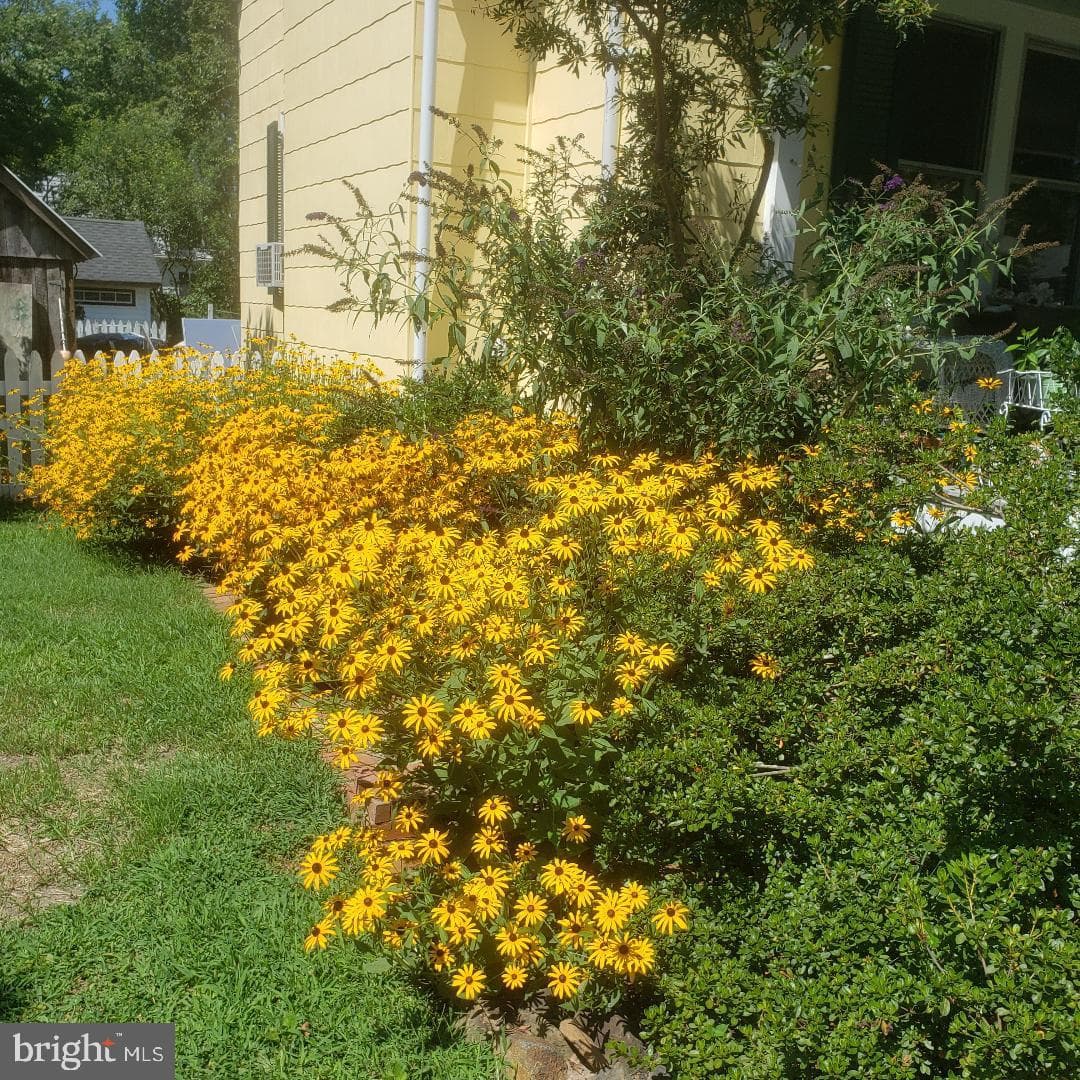 104 Windsor Avenue photo 5