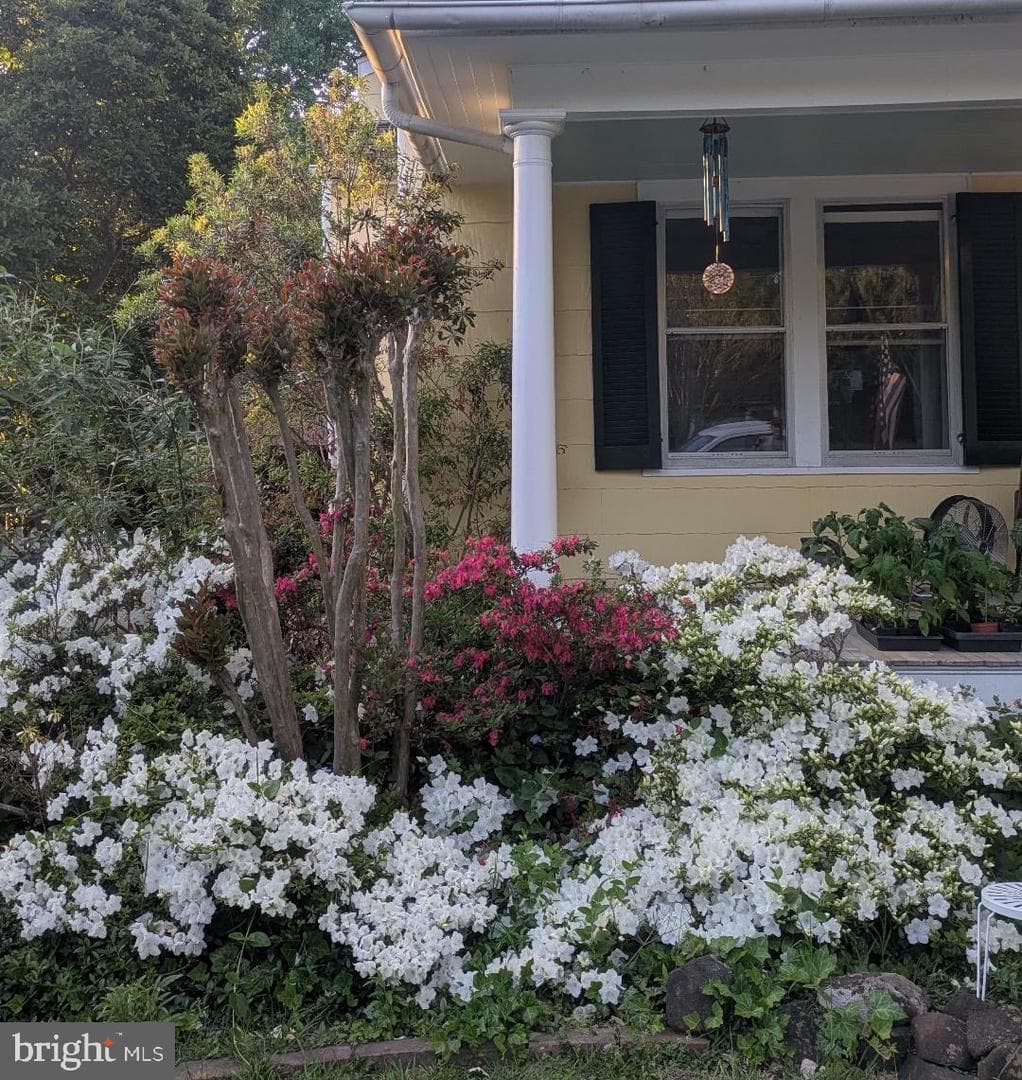 104 Windsor Avenue photo 57