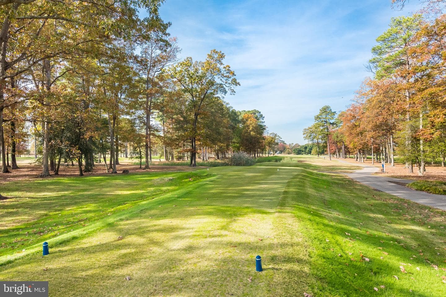 4 Bunkers Court photo 28