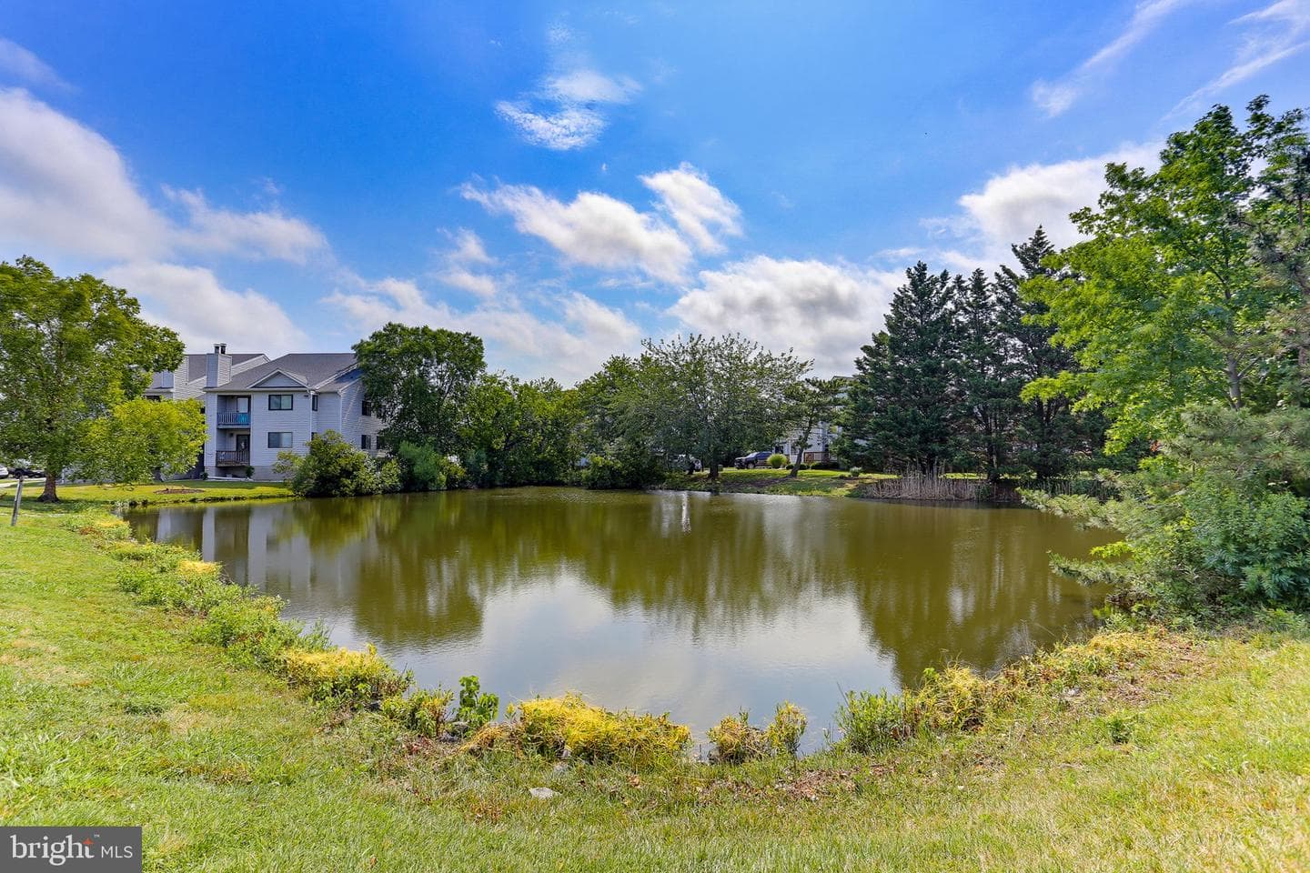 1305 Marion Quimby Drive photo 82
