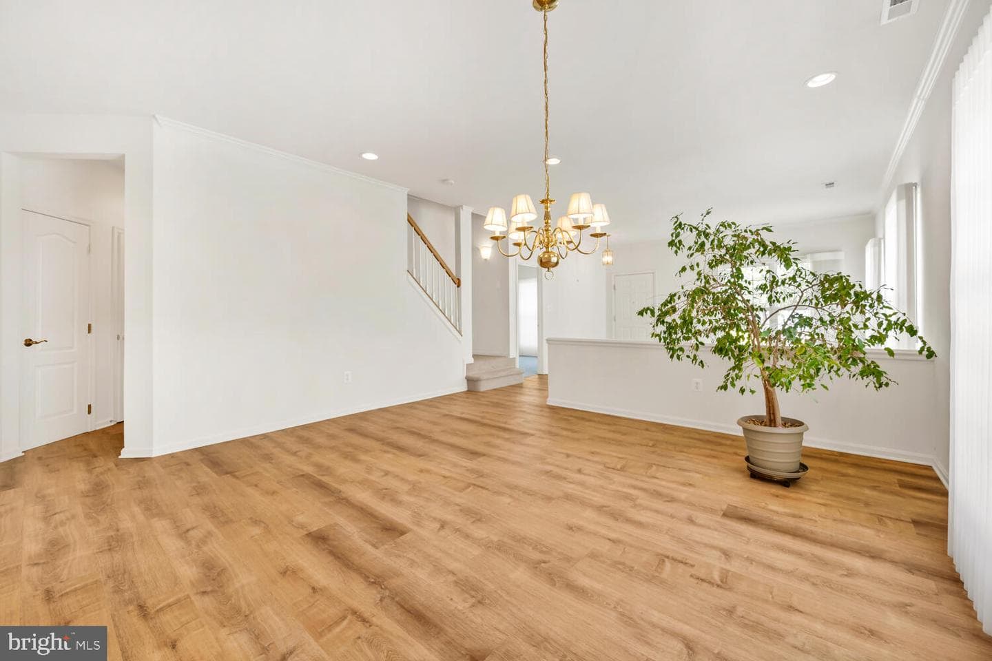142 Harmony Way photo 19