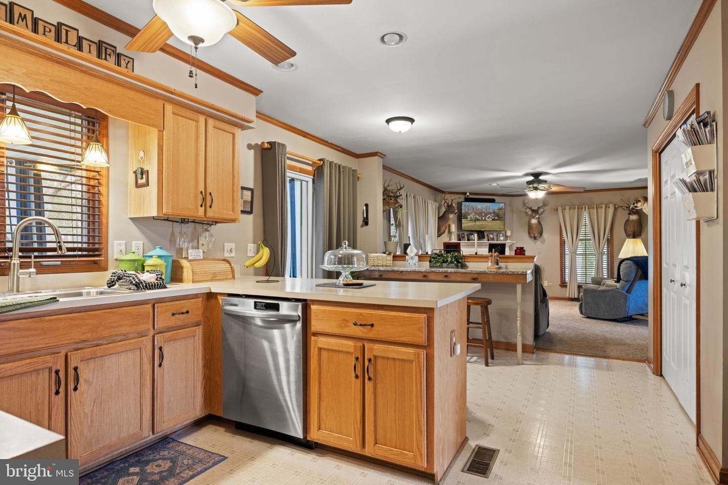 101 Coleman Dr photo 21