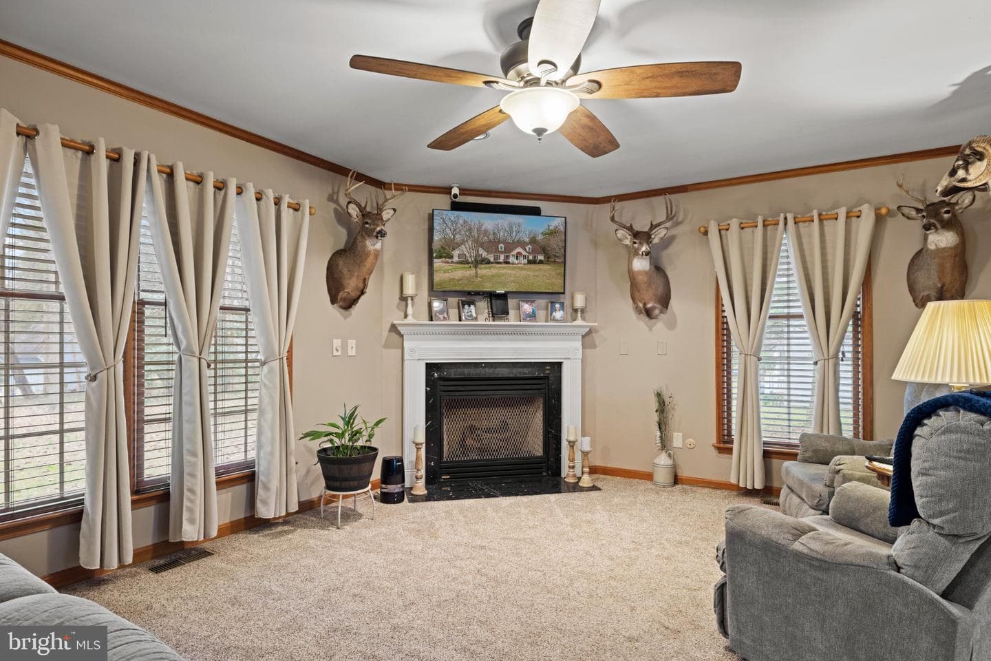 101 Coleman Dr photo 27
