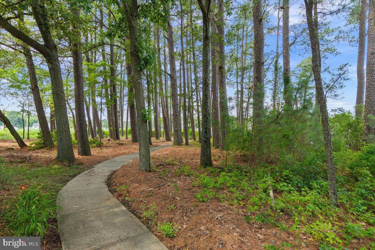 104 Port Court photo 67