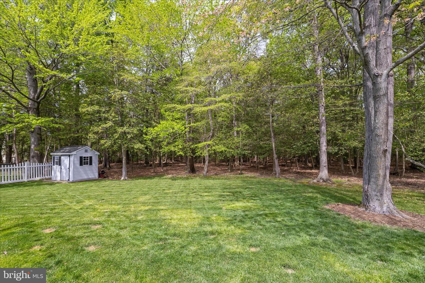 464 Web Foot Lane photo 59