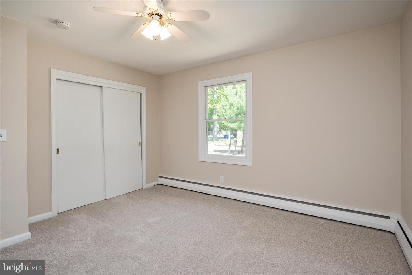 117 Rebel Road photo 18