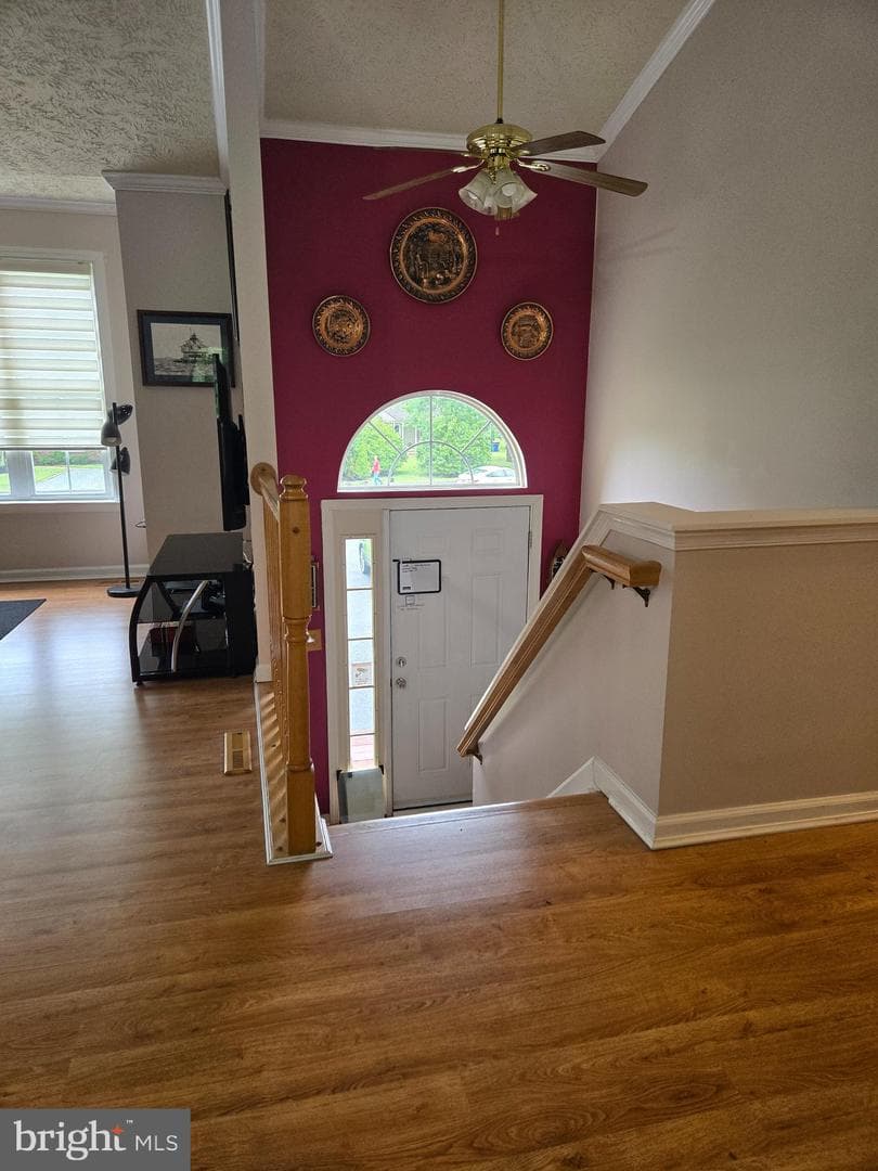 708 Dixon Drive photo 18