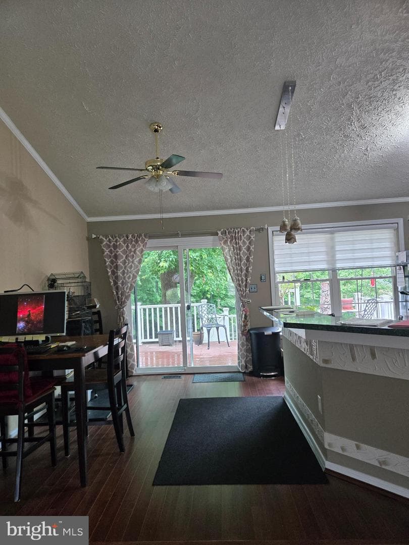 708 Dixon Drive photo 21