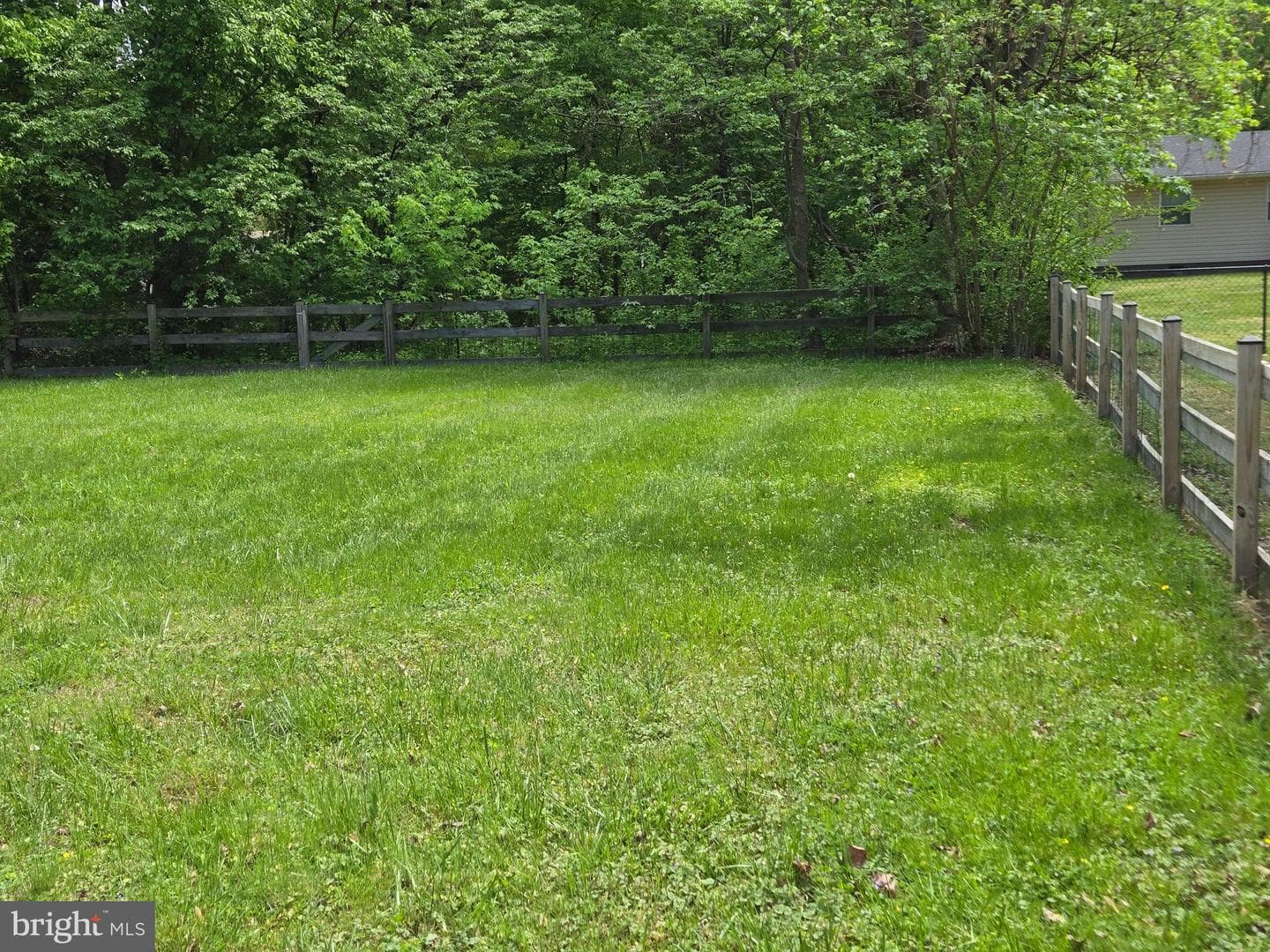708 Dixon Drive photo 3