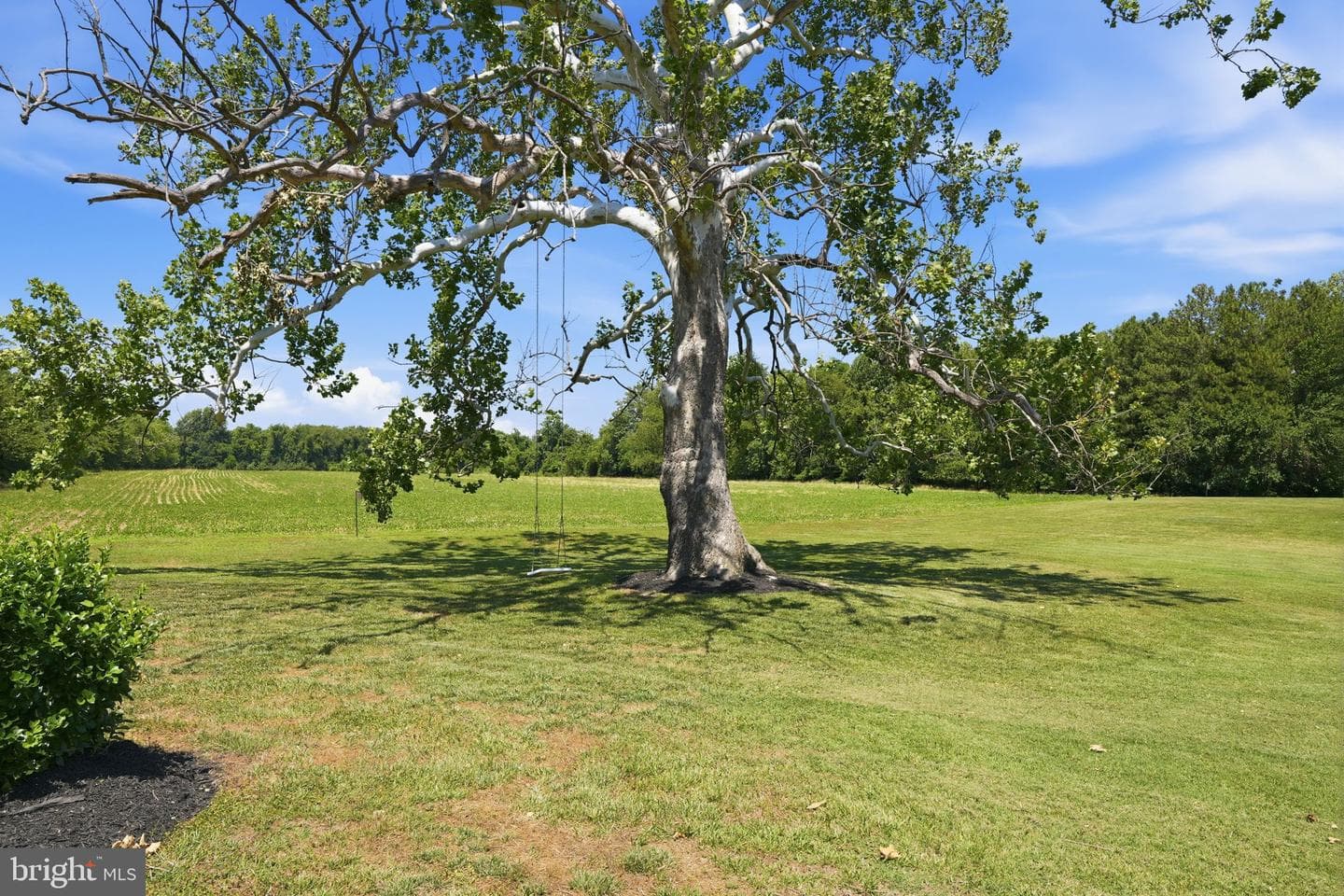 1810 Love Point Road photo 14