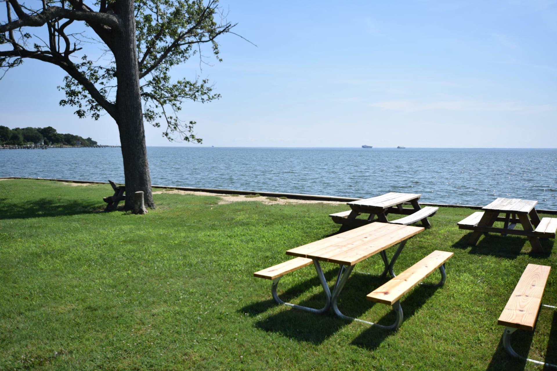 111 Chestnut Road photo 25