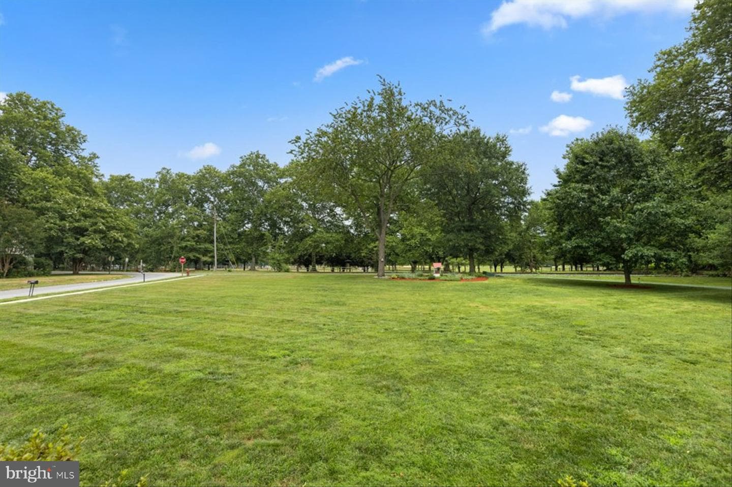 108 Maple Avenue photo 87