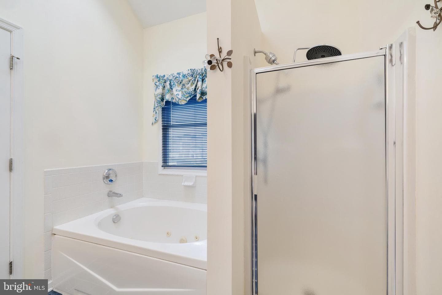 807 Auckland Way photo 31