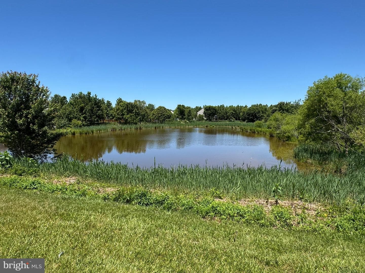 116 Meadow Brook Way photo 47