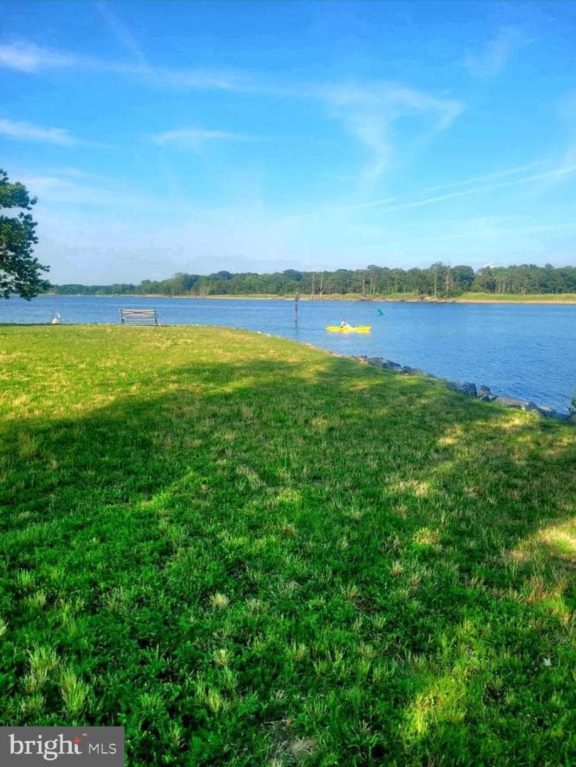 801 Chester River Dr photo 23
