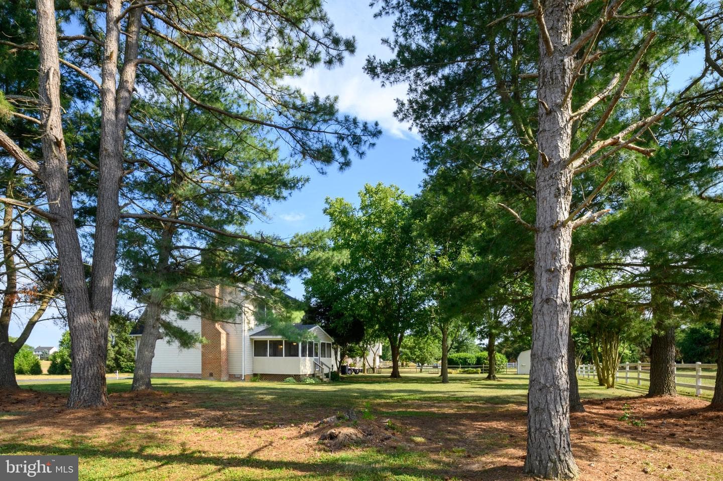 223 Overlook Drive photo 47