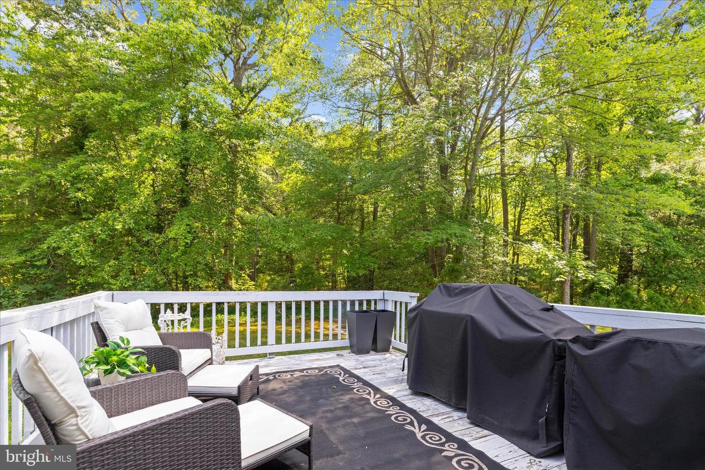 116 Mallard Drive photo 46