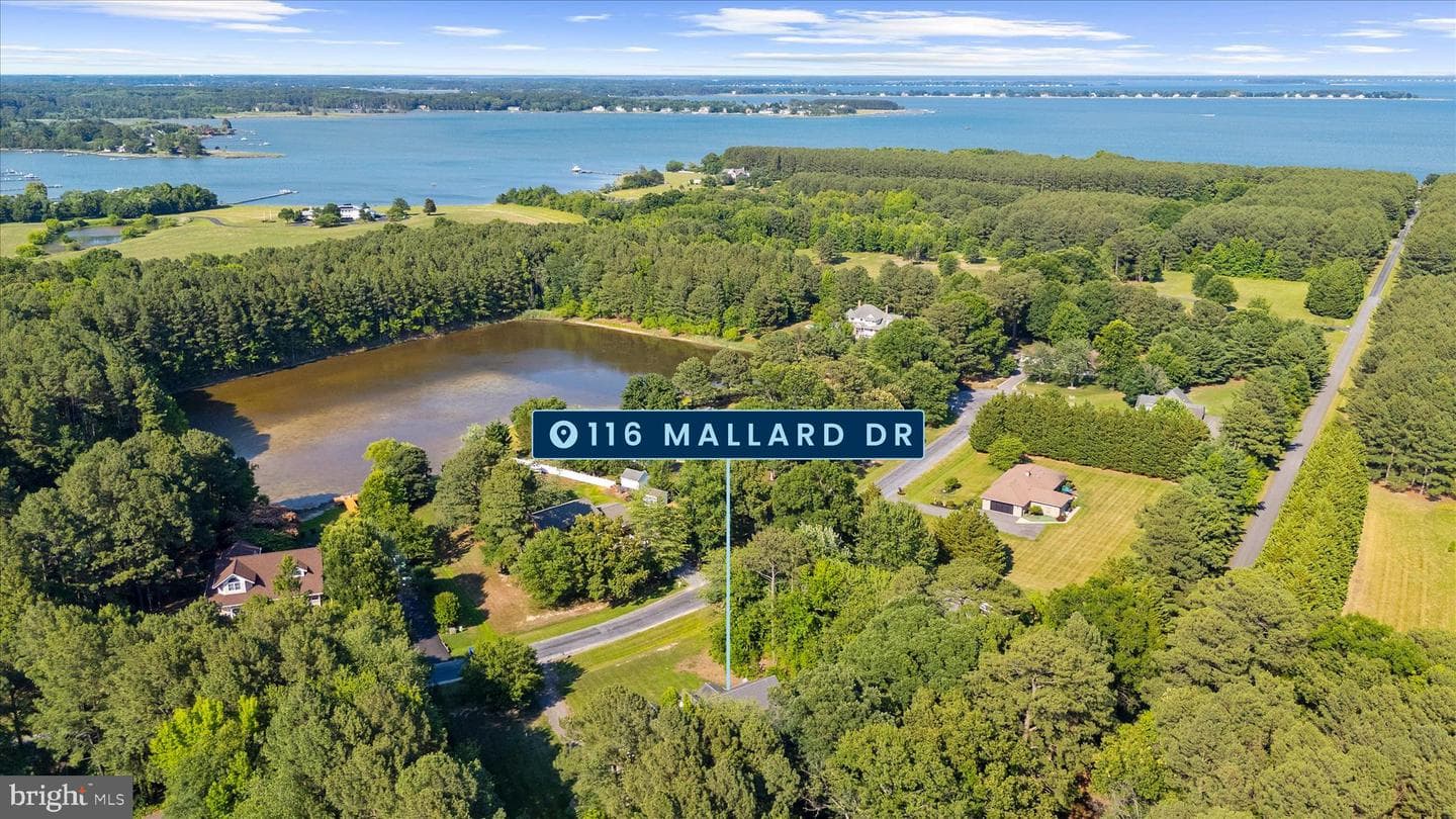 116 Mallard Drive photo 74