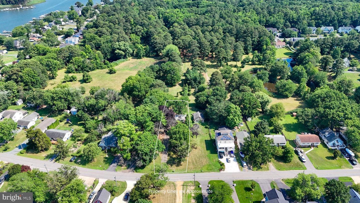 901 Chester River Dr photo 3