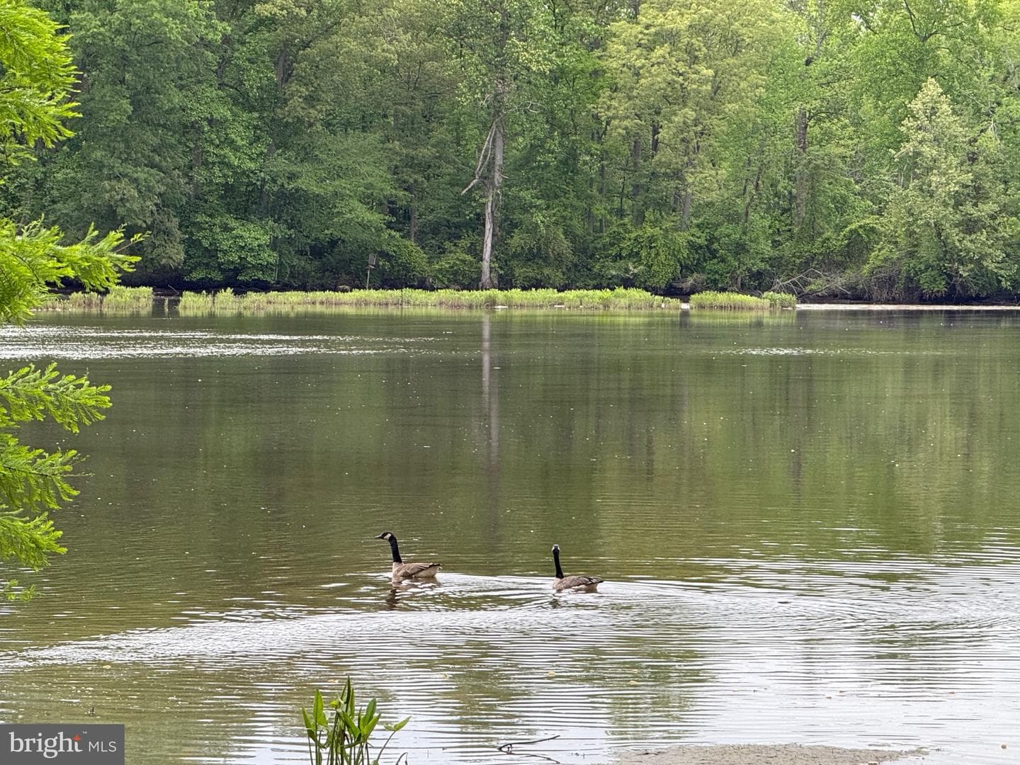 220 Kirbys Landing Road photo 33