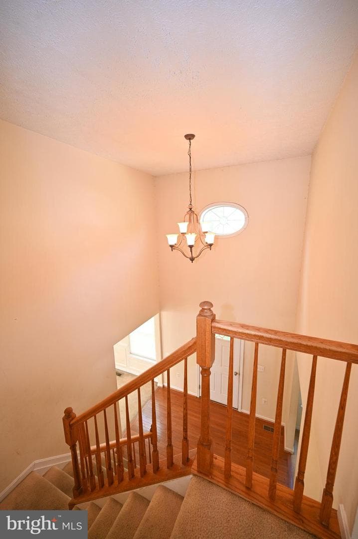 46689 Sandalwood Street photo 53