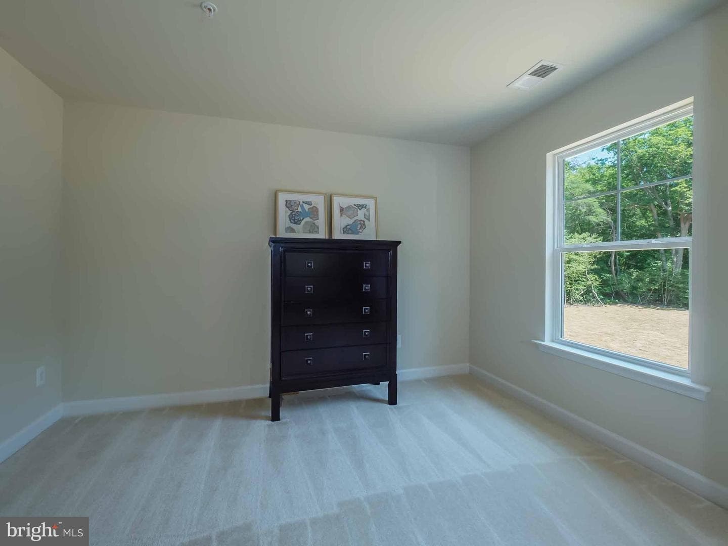 46234 Stasha photo 17