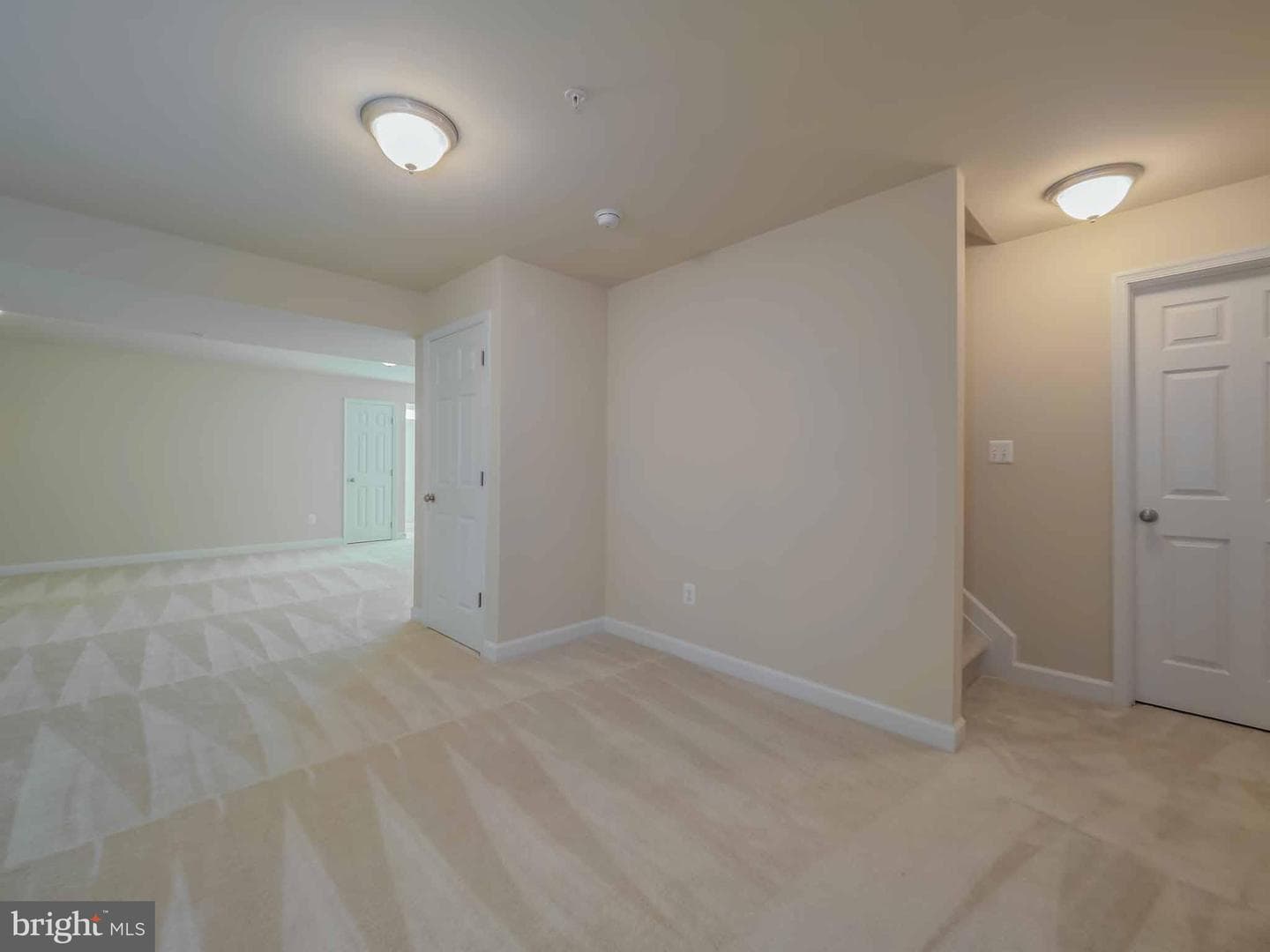46234 Stasha photo 6