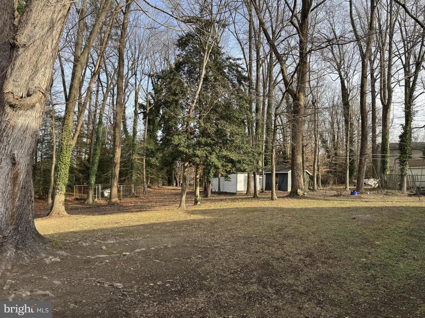 30170 Curtiss Road photo 4