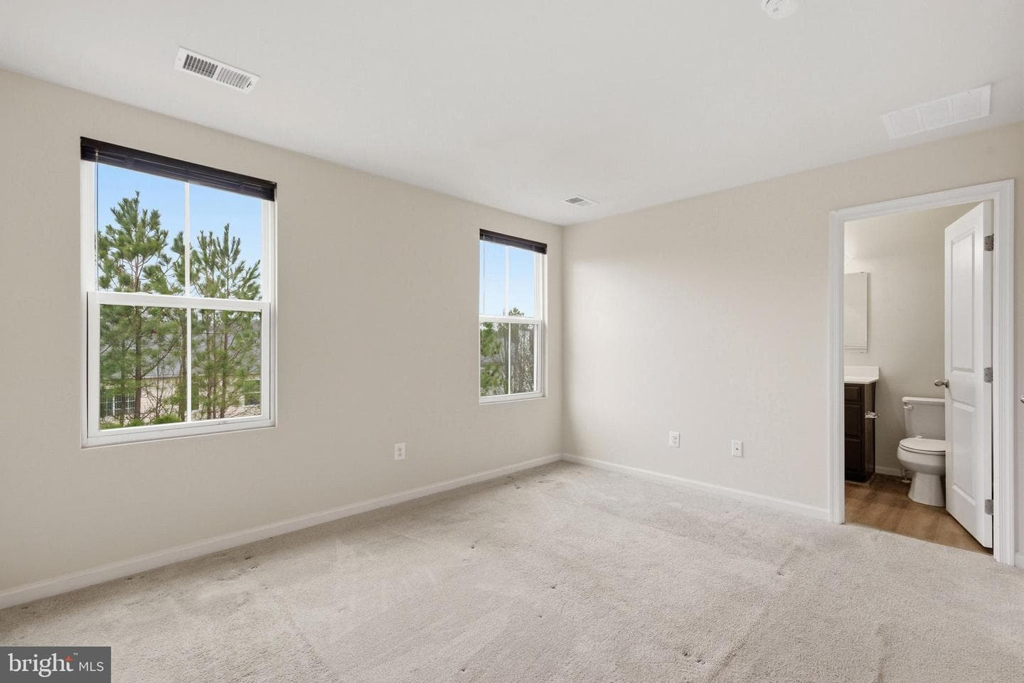 46315 Creeping Primrose Lane #b photo 10