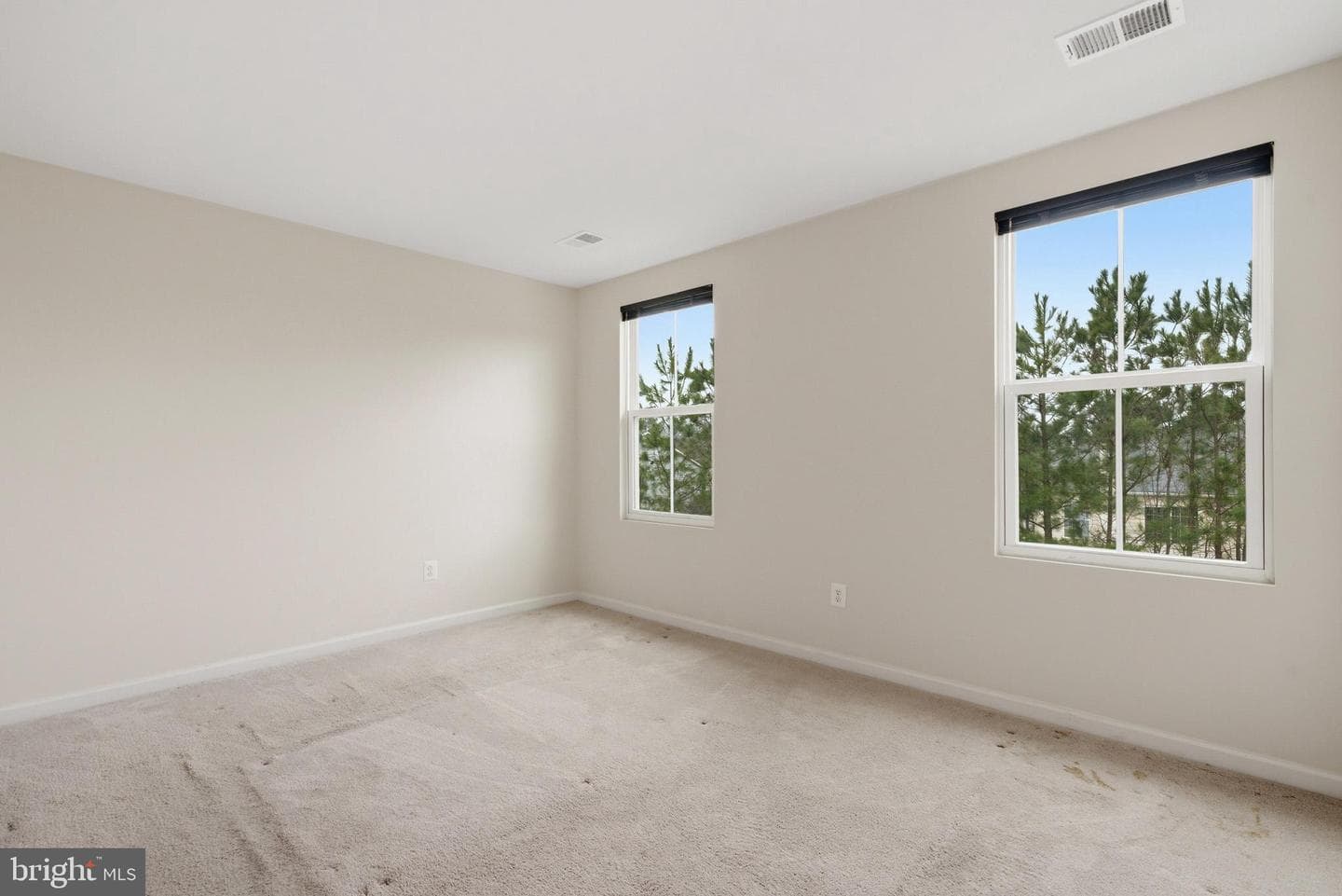 46315 Creeping Primrose Lane #b photo 8