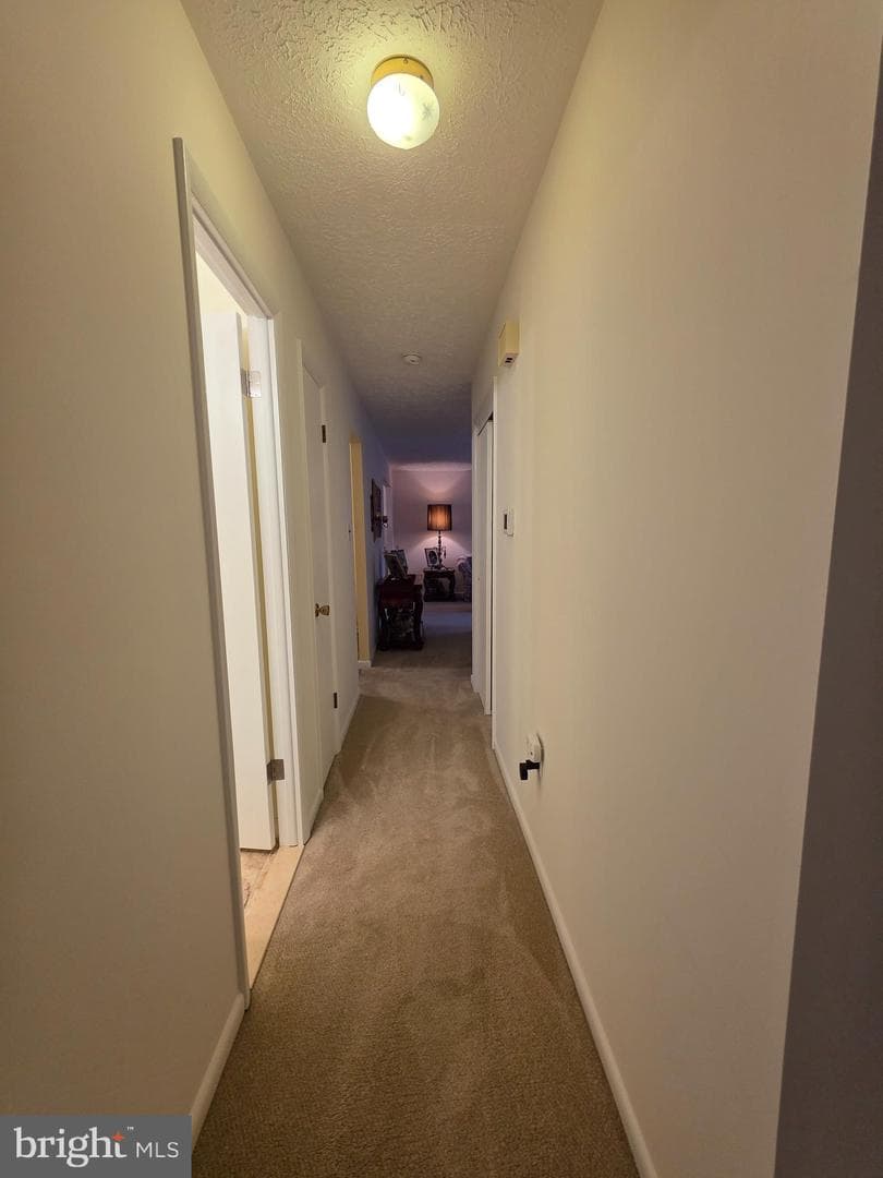 26654 Forest Hall Drive photo 25