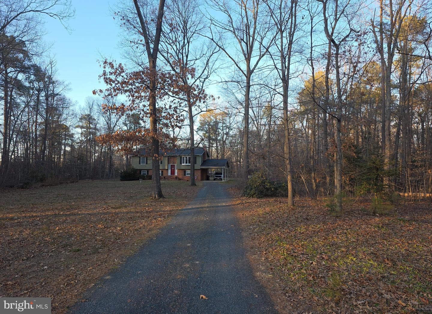 26654 Forest Hall Drive photo 38