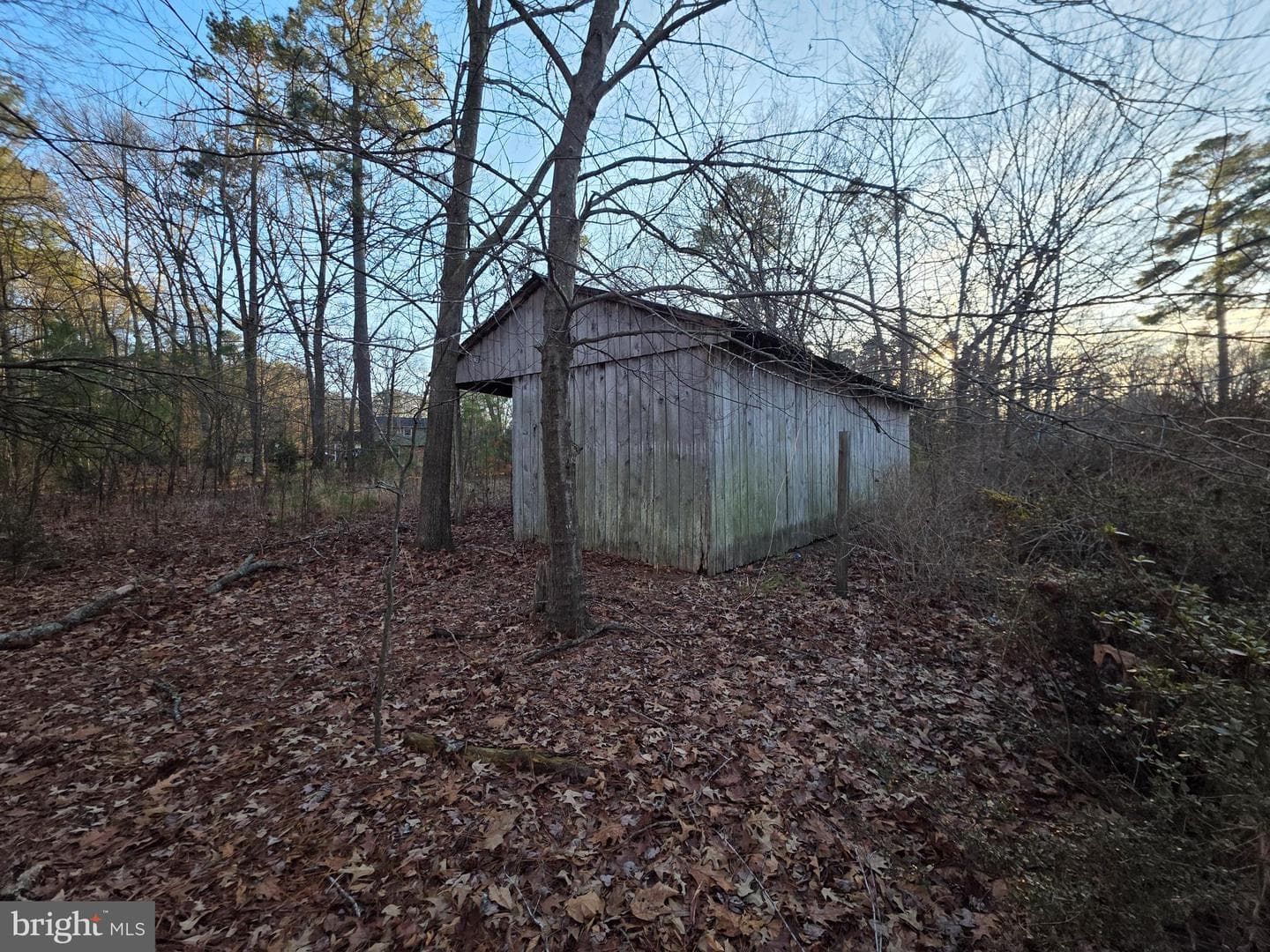 26654 Forest Hall Drive photo 44