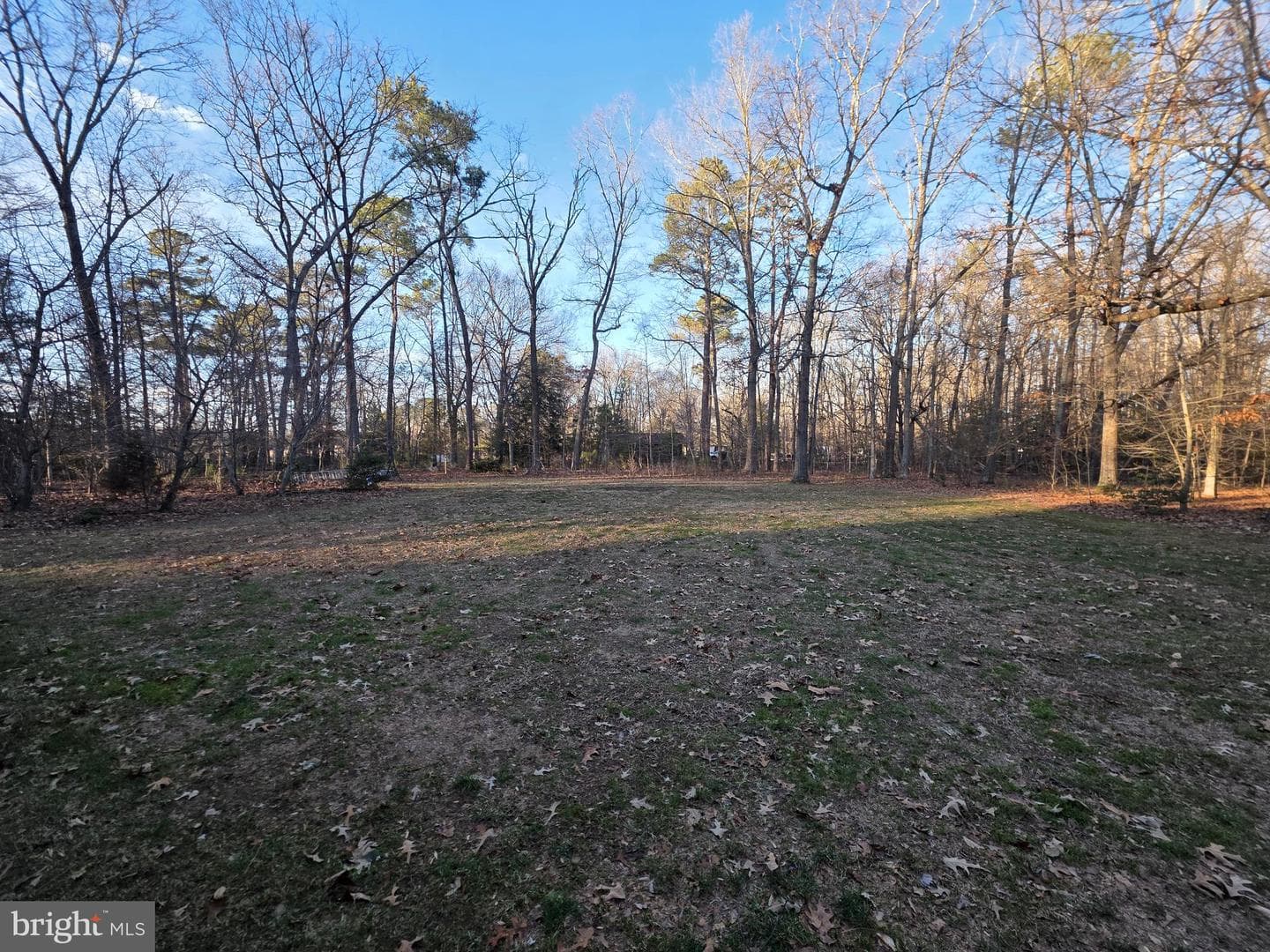 26654 Forest Hall Drive photo 52