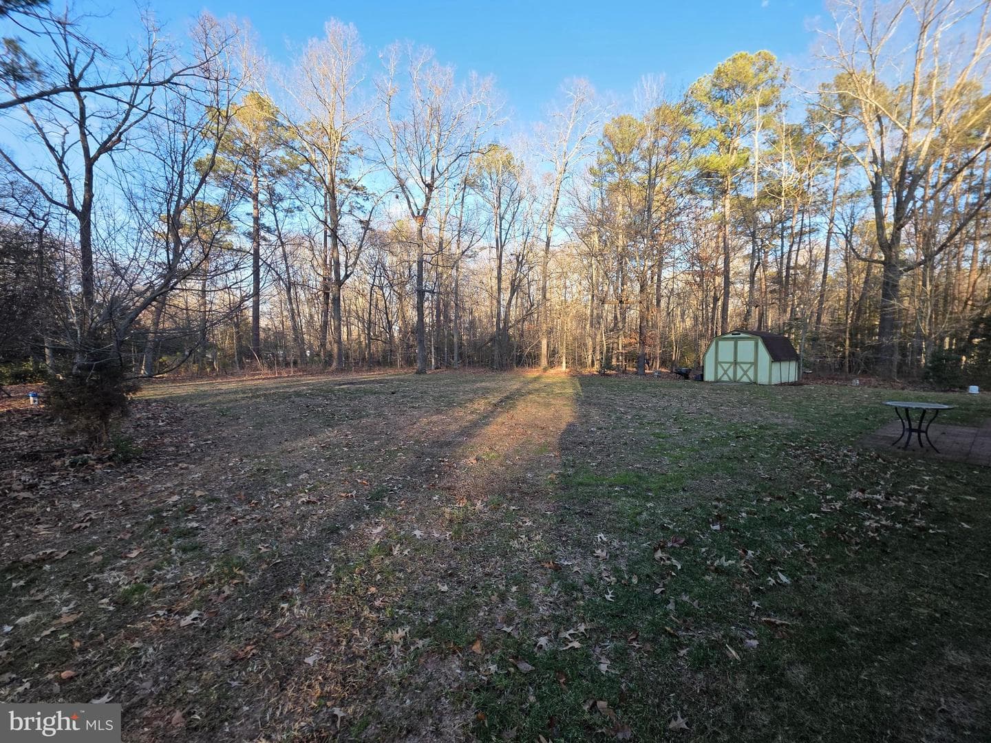 26654 Forest Hall Drive photo 53