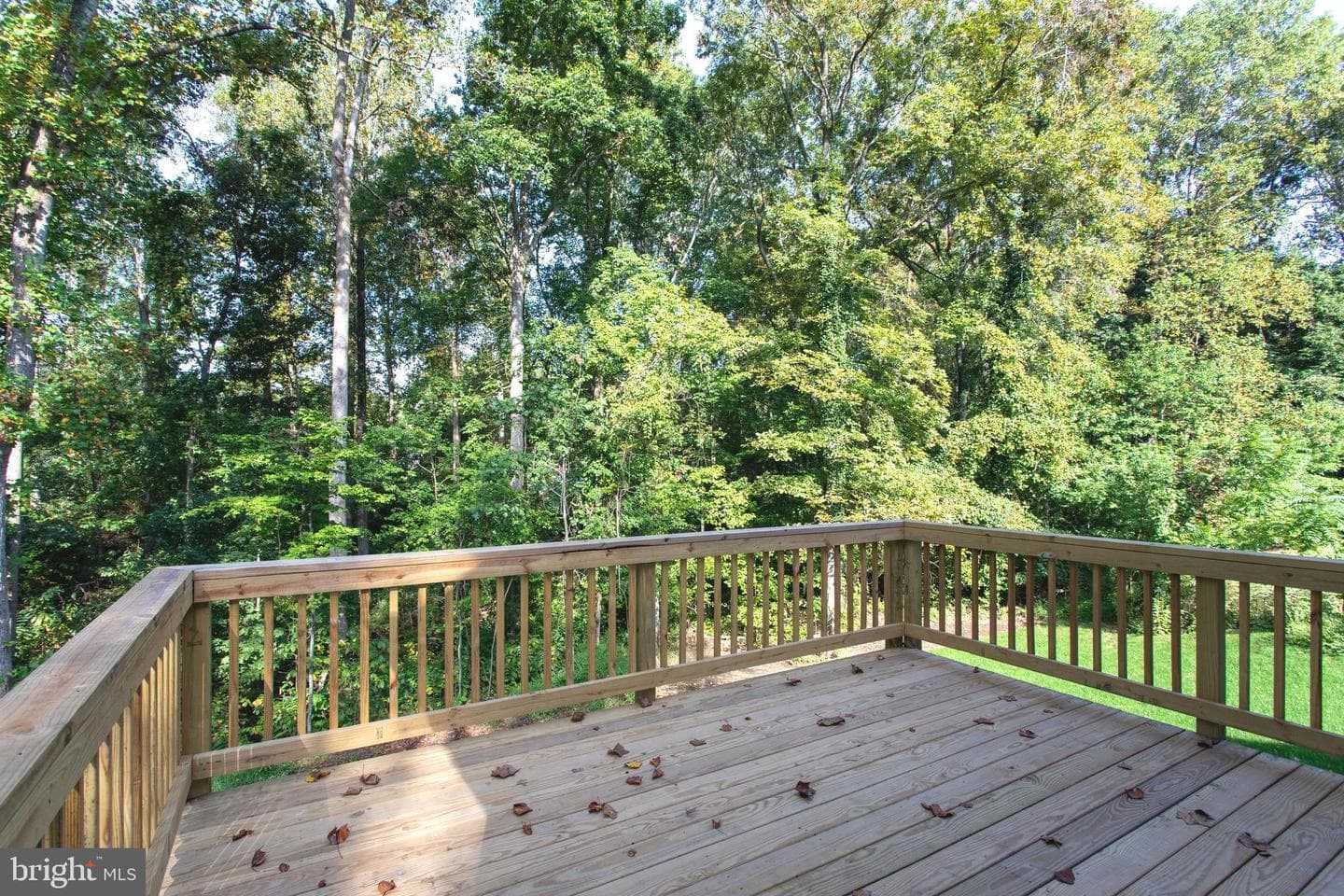 29057 Ann Circle photo 66