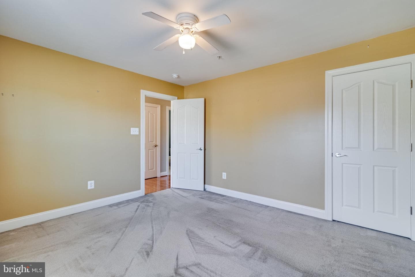 24433 Broad Creek Drive photo 27