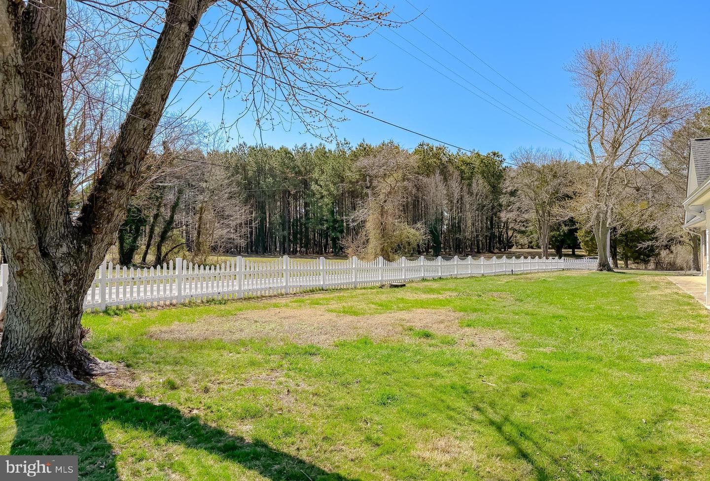 49716 Airedele Road photo 89