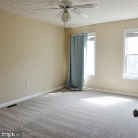 47990 Piney Orchard Street photo 11