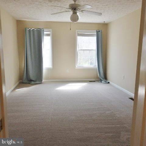 47990 Piney Orchard Street photo 12