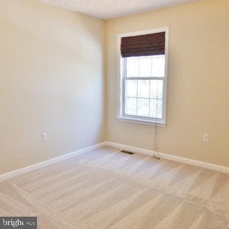 47990 Piney Orchard Street photo 19