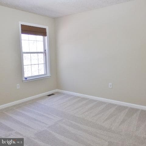 47990 Piney Orchard Street photo 20